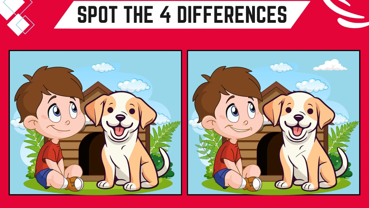 Spot the Difference Game: Only highly attentive eyes can spot the 4 Differences in this Boy and his Dog Image in 10 Secs