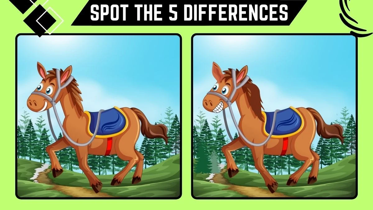 Spot the Difference Game: Only People with 10/10 Vision Can Spot the 5 Differences in this Horse Image in 16 Secs