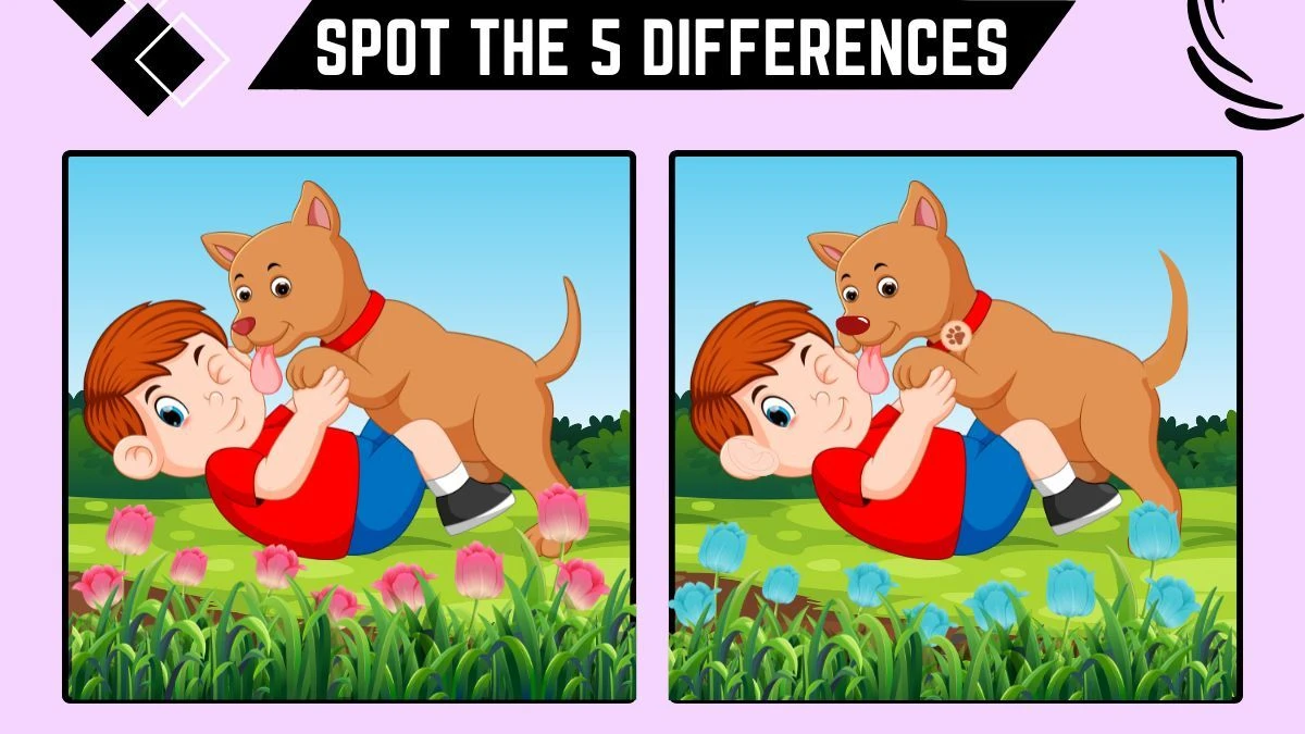 Spot the Difference Game: Only People with 20/20 Vision Can Spot the 5 Differences in this Boy and his dog Image in 15 Secs