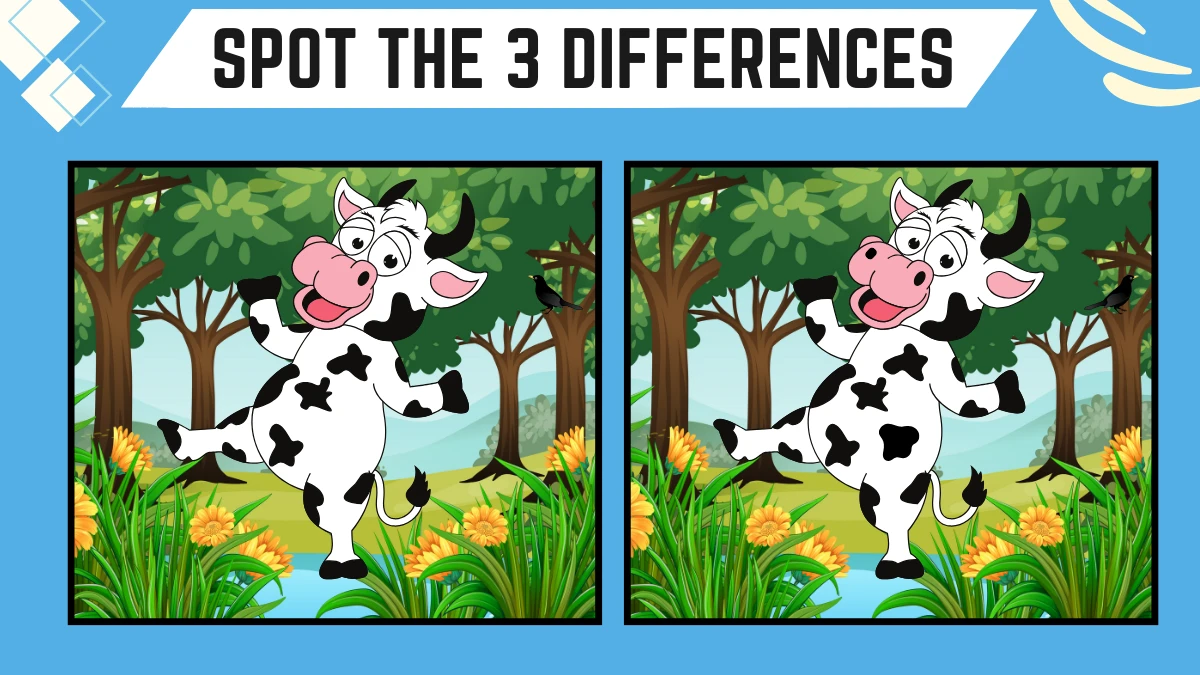 Spot the Difference Game: Only People with 50/50 Vision Can Spot the 3 Differences in this Cow Image in 10 Secs