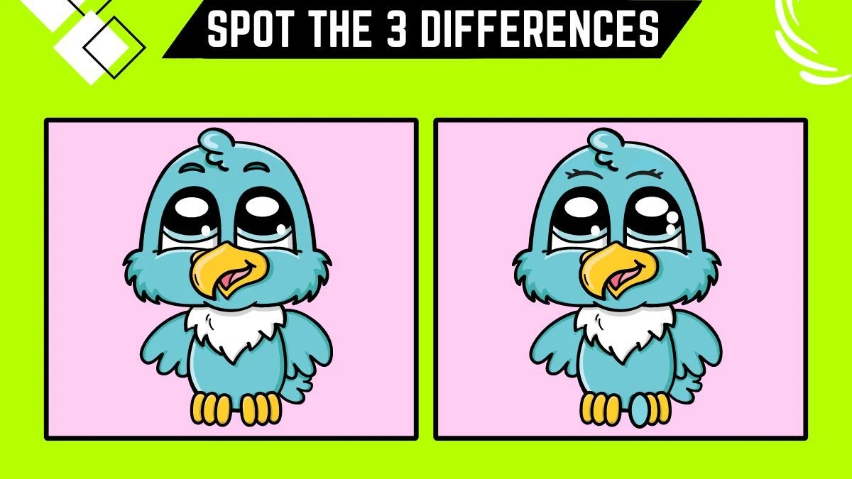 Spot the Difference Game: Only People with 50/50 Vision Can Spot the 3 Differences in this Blue Bird Image in 10 Secs