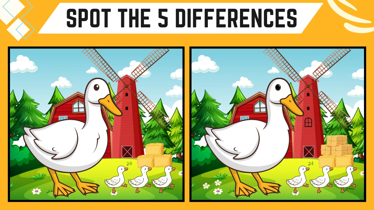 Spot the Difference Game: Only People with 50/50 Vision Can Spot the 5 Differences in this Duck and Ducklings Image in 15  Secs