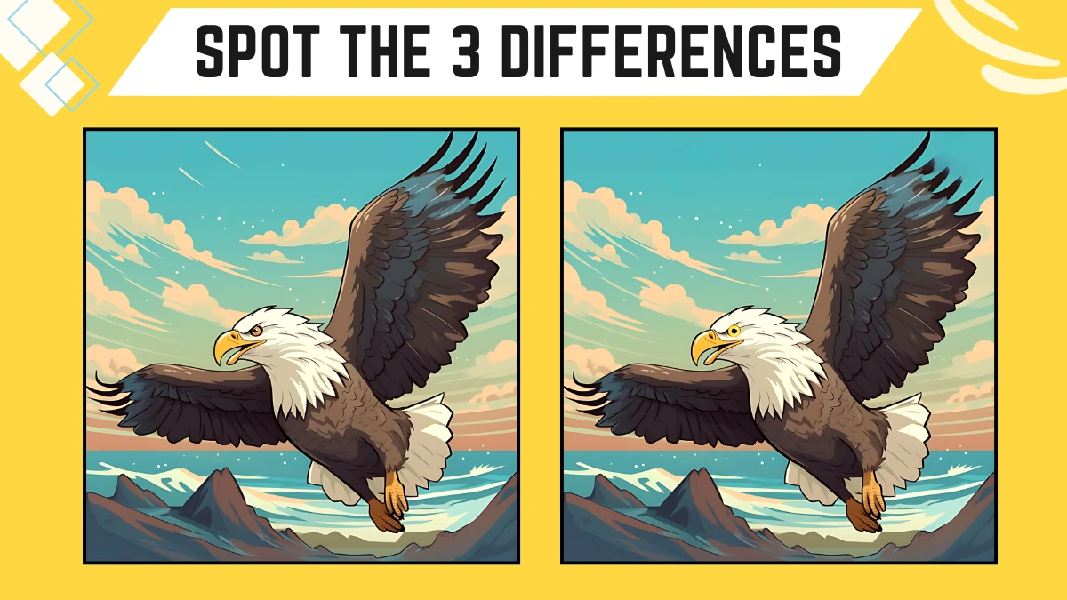 Spot the Difference Game: Only Sharpest Vision People Can Spot the 3 Differences in this Eagle Image in 8 Secs