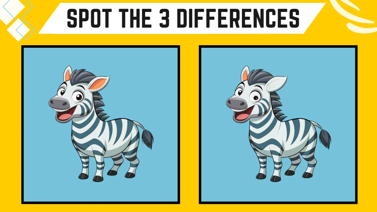 Spot the Differences Game: Only X- Ray Vision People Can Spot the 3 Differences in this Zebra in 10 Secs