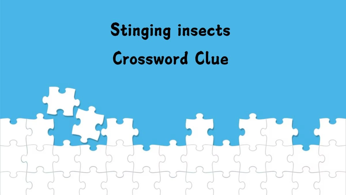 Stinging insects Daily Commuter Crossword Clue Puzzle Answer from July 23, 2024