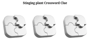 NYT Stinging plant Crossword Clue Puzzle Answer from July 17, 2024