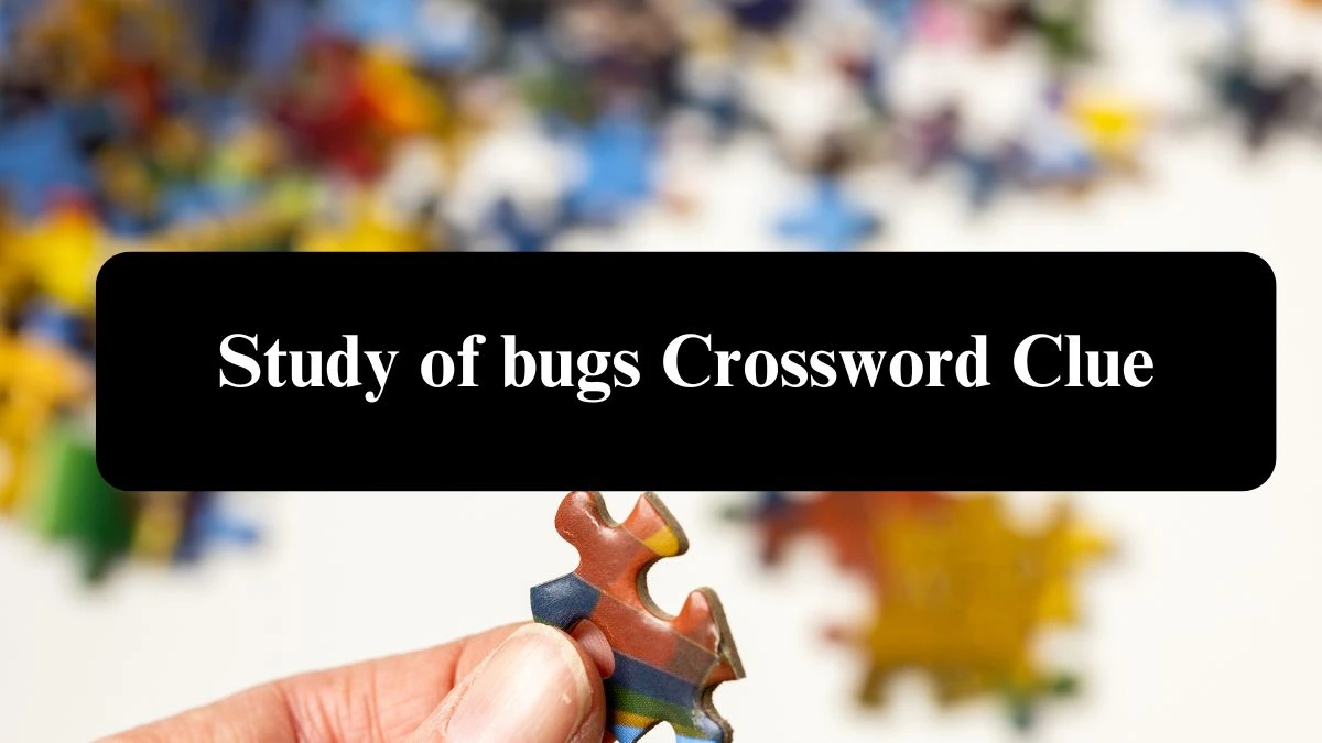 Study of bugs Crossword Clue Answers on July 30, 2024