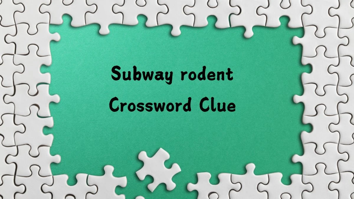 USA Today Subway rodent Crossword Clue Puzzle Answer from July 12, 2024