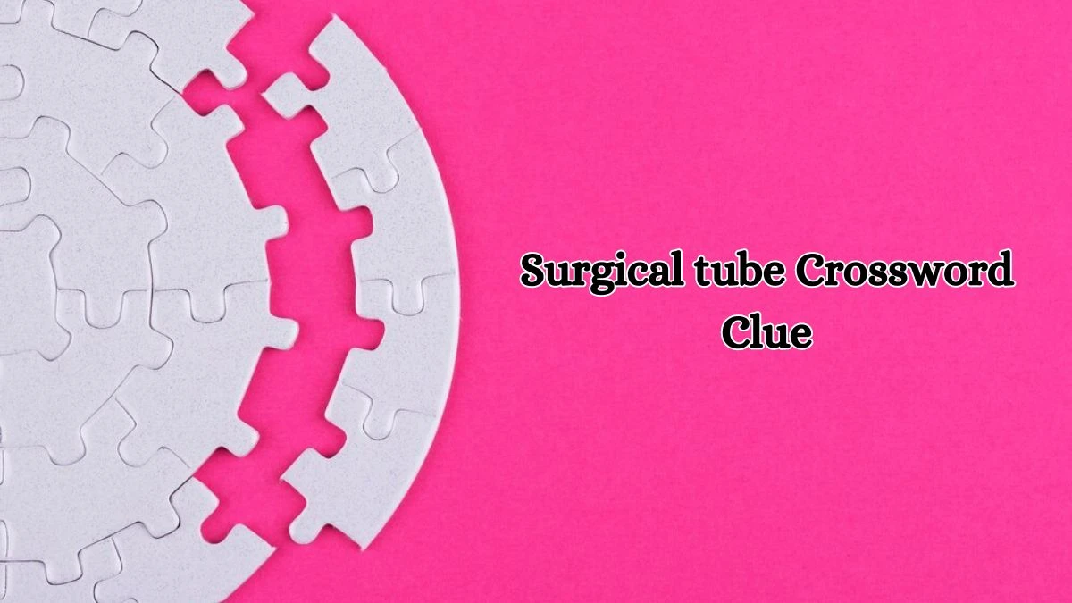 LA Times Surgical tube Crossword Puzzle Answer from July 11, 2024