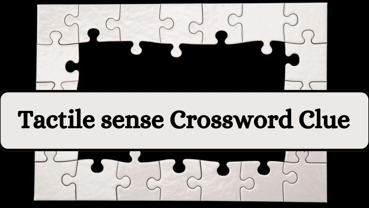 Daily Themed Tactile sense Crossword Clue Puzzle Answer from July 13, 2024