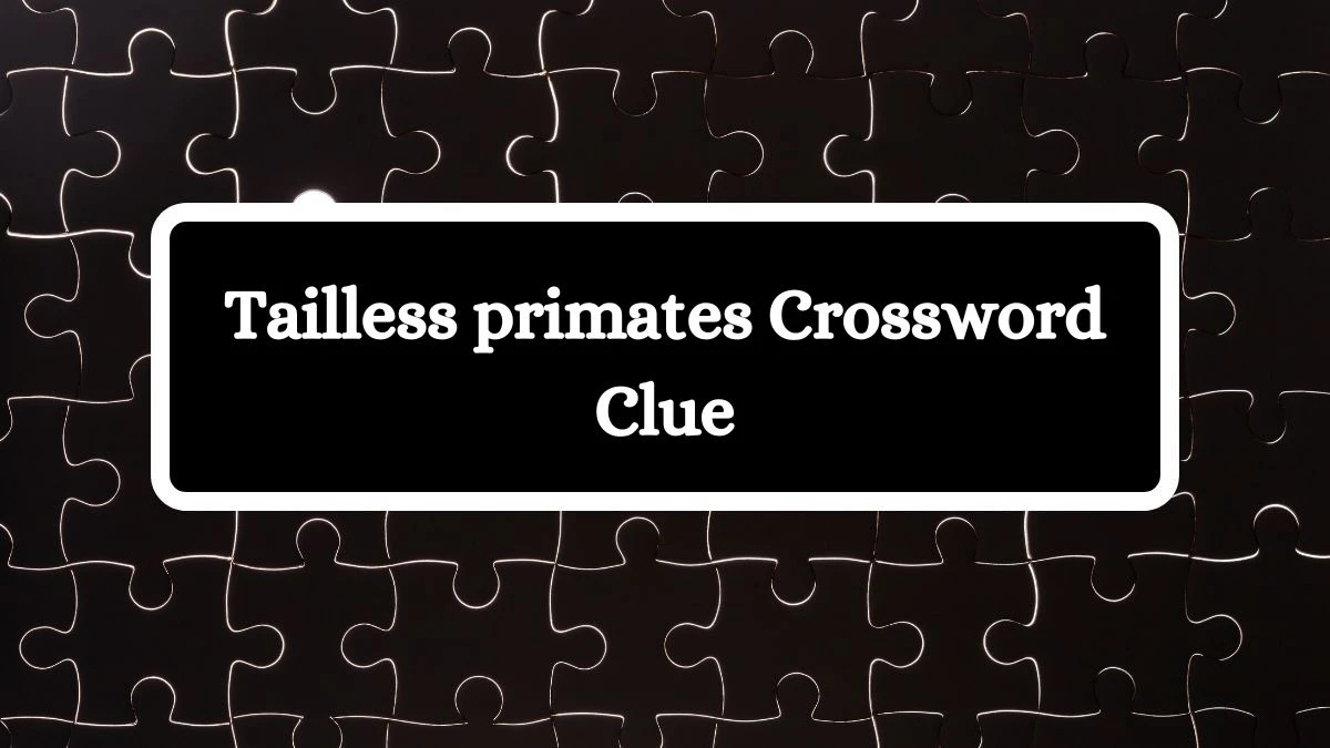Tailless primates Daily Commuter Crossword Clue Puzzle Answer from July 04, 2024