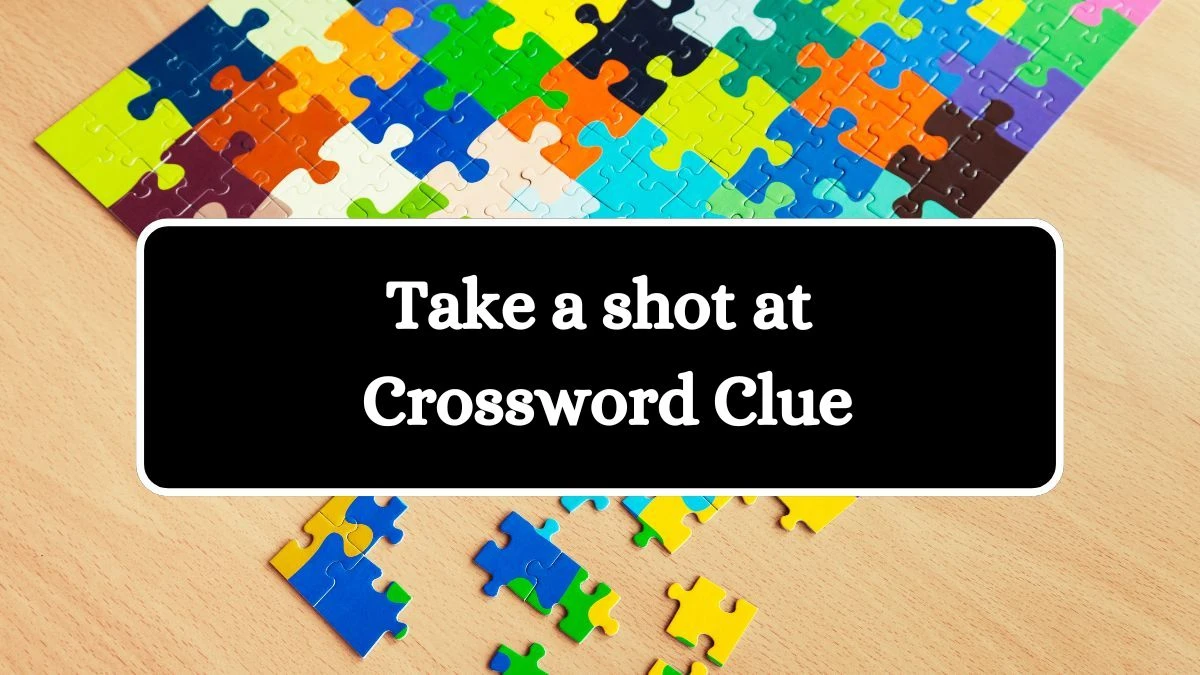 Take a shot at Daily Themed Crossword Clue Answers on July 25, 2024