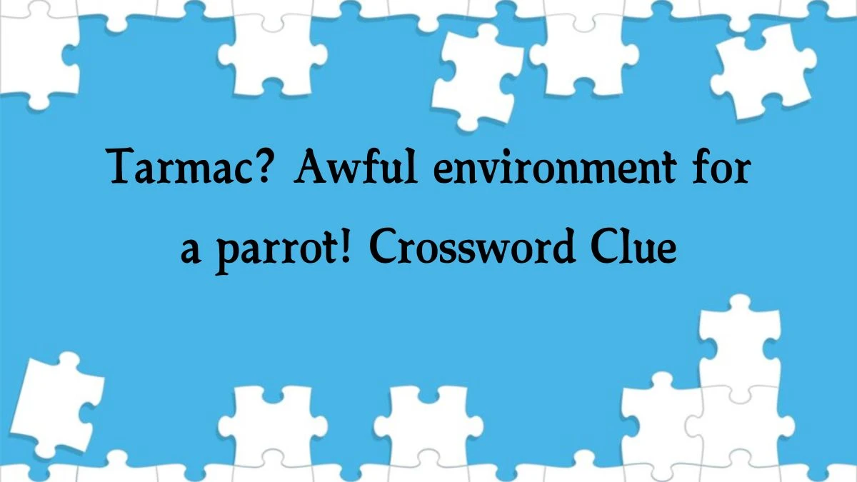 Tarmac? Awful environment for a parrot! Crossword Clue Answers on August 01, 2024