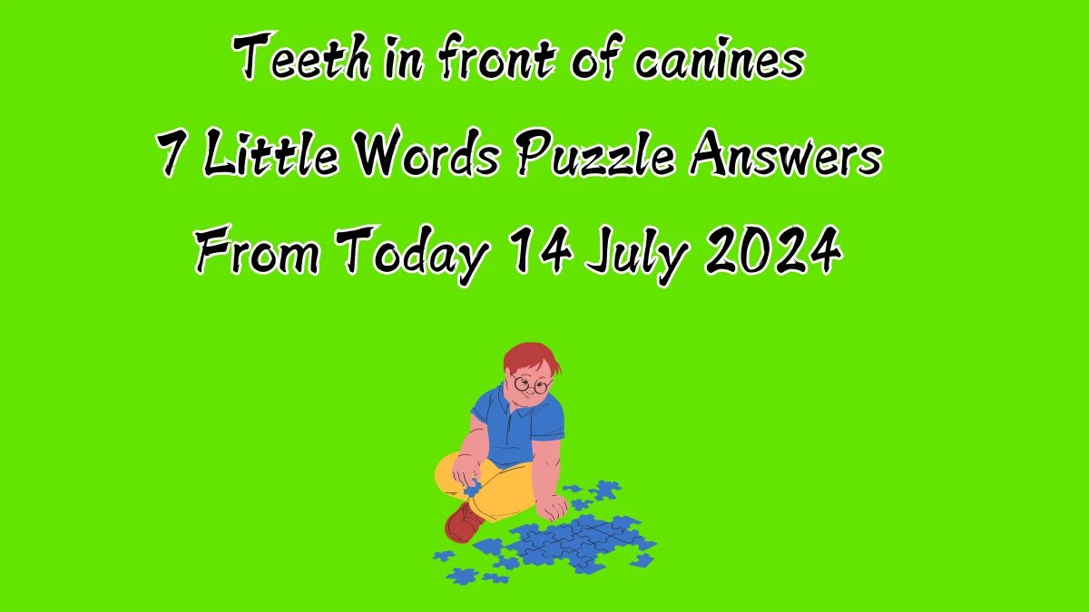 Teeth in front of canines 7 Little Words Puzzle Answer from July 14, 2024