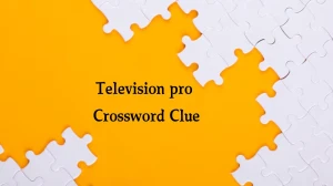 NYT Television pro (11) Crossword Clue Puzzle Answer from July 31, 2024