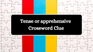 Tense or apprehensive Irish Daily Mail Quick Crossword Clue Puzzle Answer from July 29, 2024