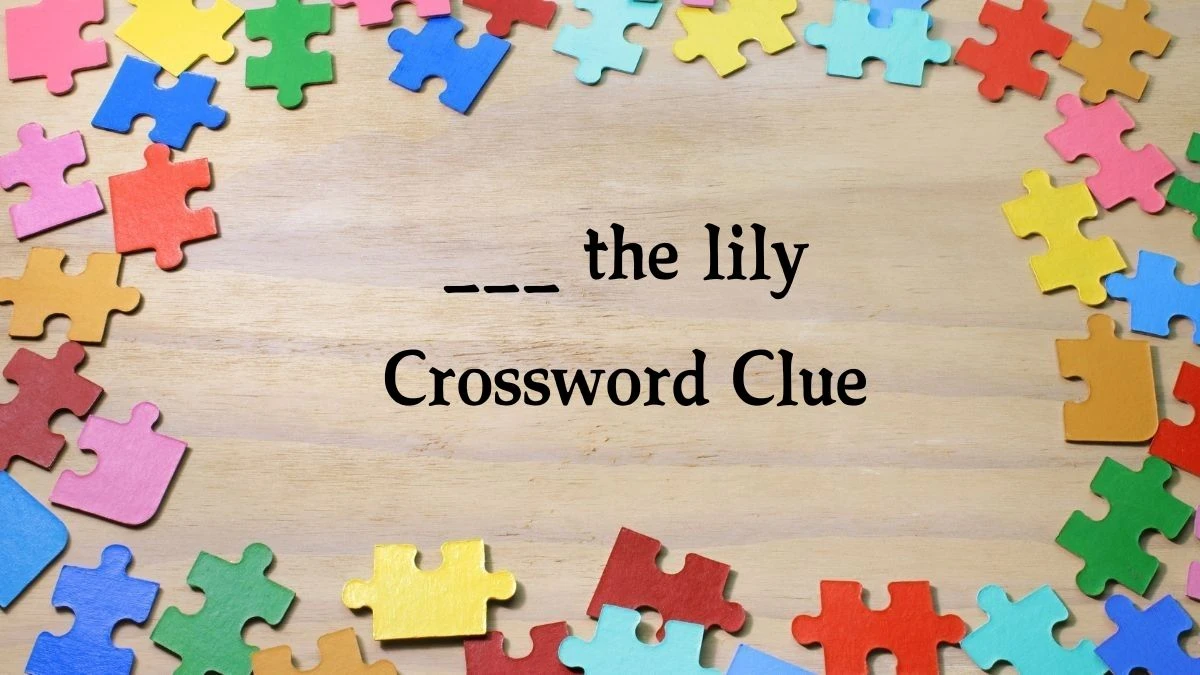 ___ the lily Crossword Clue Puzzle Answer from July 31, 2024