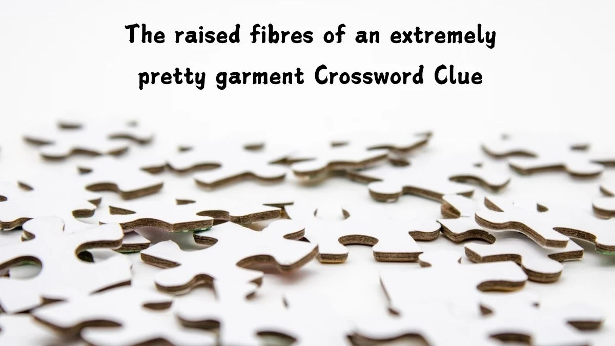 The raised fibres of an extremely pretty garment Crossword Clue Puzzle Answer from July 12, 2024