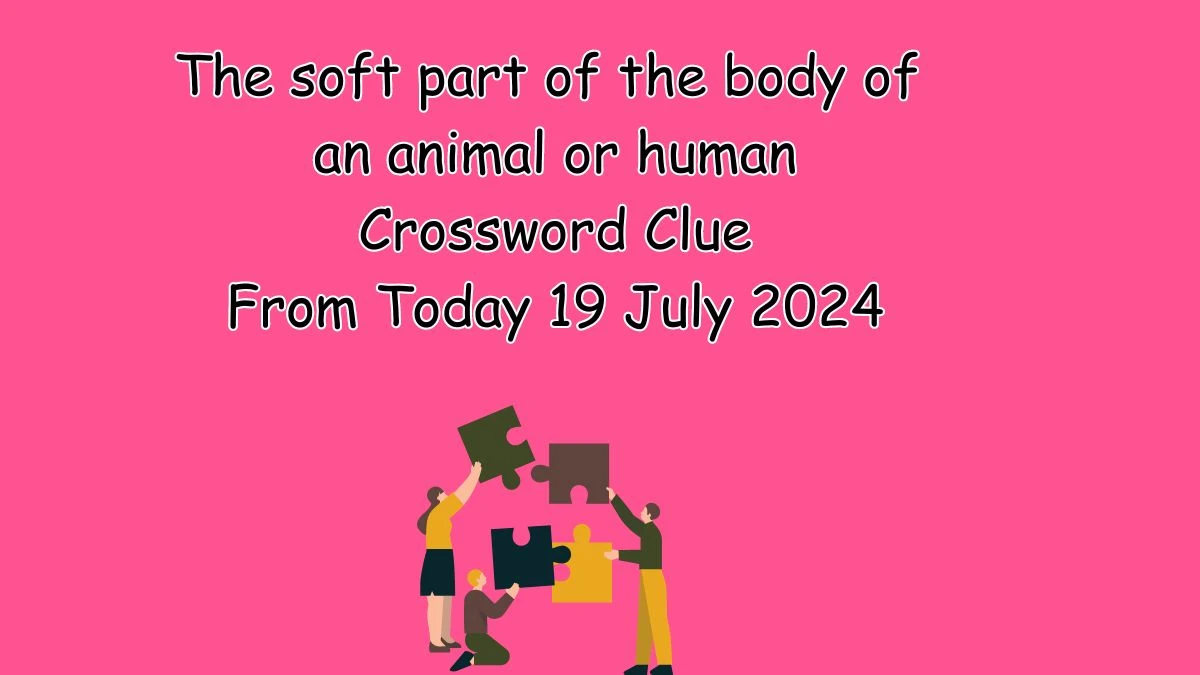 The soft part of the body of an animal or human Telegraph Quick Crossword Clue Puzzle Answer from July 19, 2024