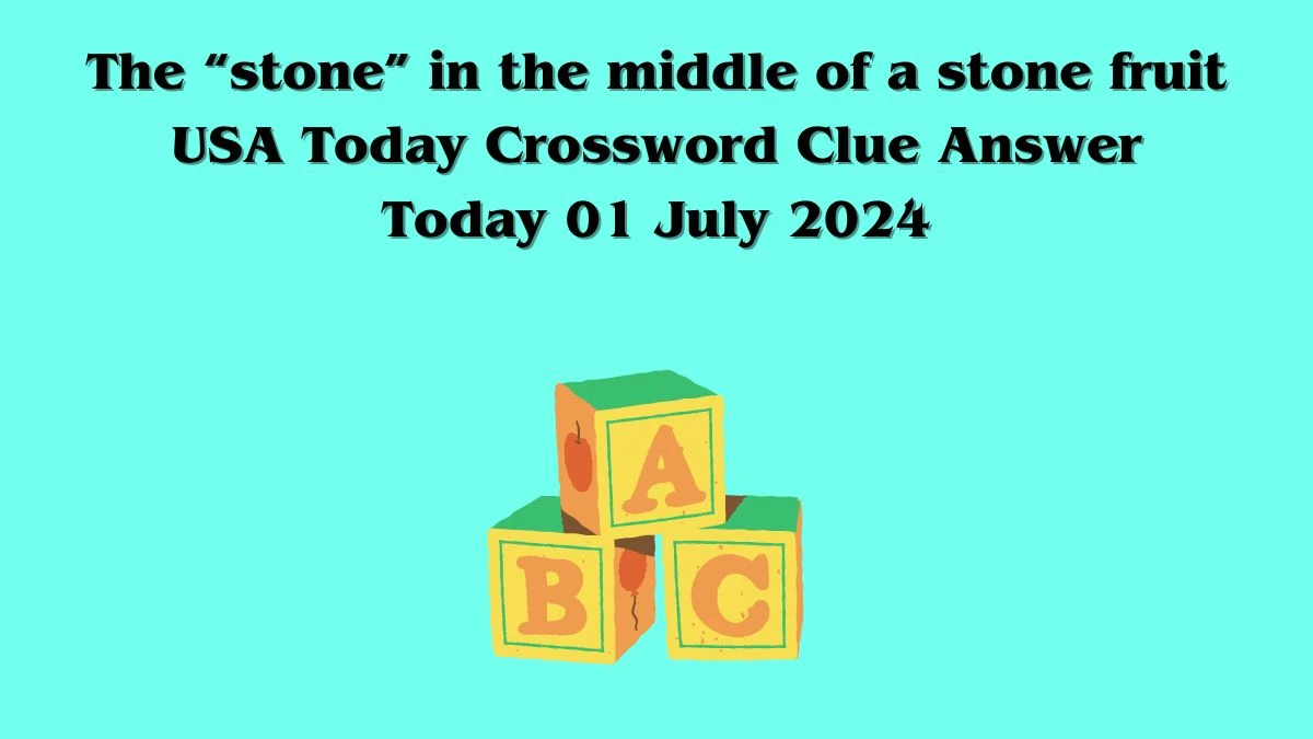 USA Today The “stone” in the middle of a stone fruit Crossword Clue Puzzle Answer from July 01, 2024