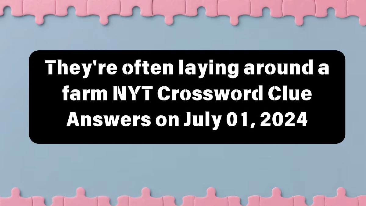 NYT They're often laying around a farm Crossword Clue Puzzle Answer from July 01, 2024