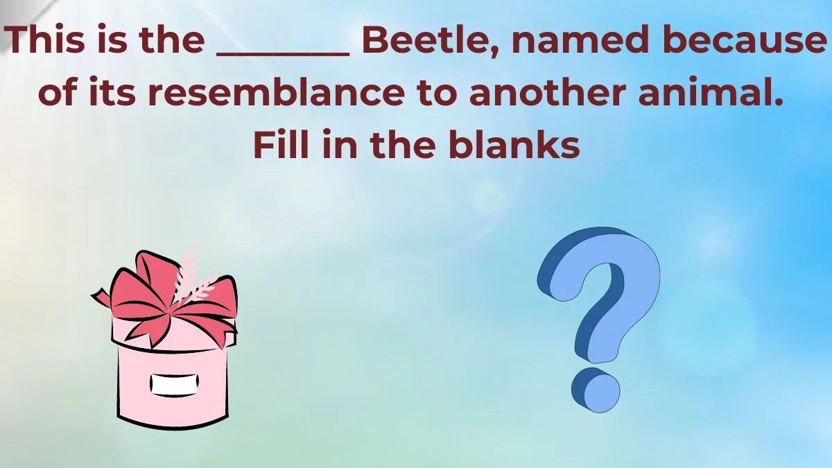 This is the _______ Beetle, named because of its resemblance to another animal. Fill in the blanks Amazon Quiz Answer Today July 02, 2024