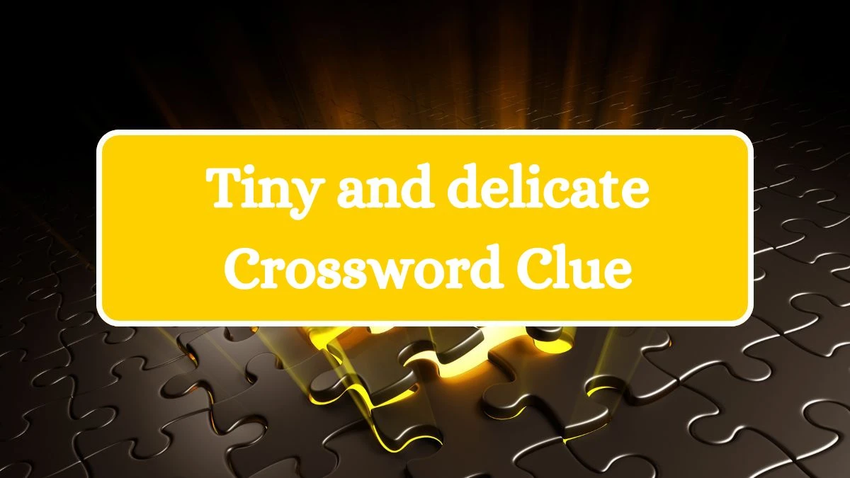 Tiny and delicate Daily Commuter Crossword Clue Puzzle Answer from July 04, 2024