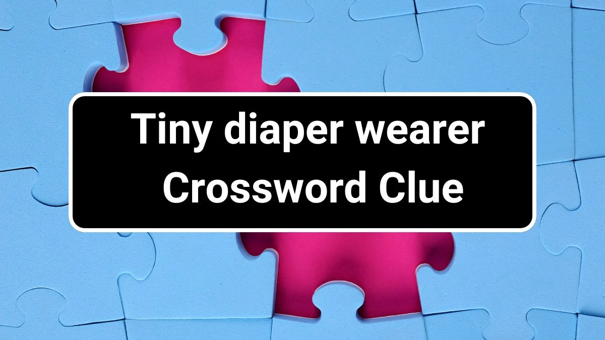 Tiny diaper wearer Daily Themed Crossword Clue Puzzle Answer from July 02, 2024