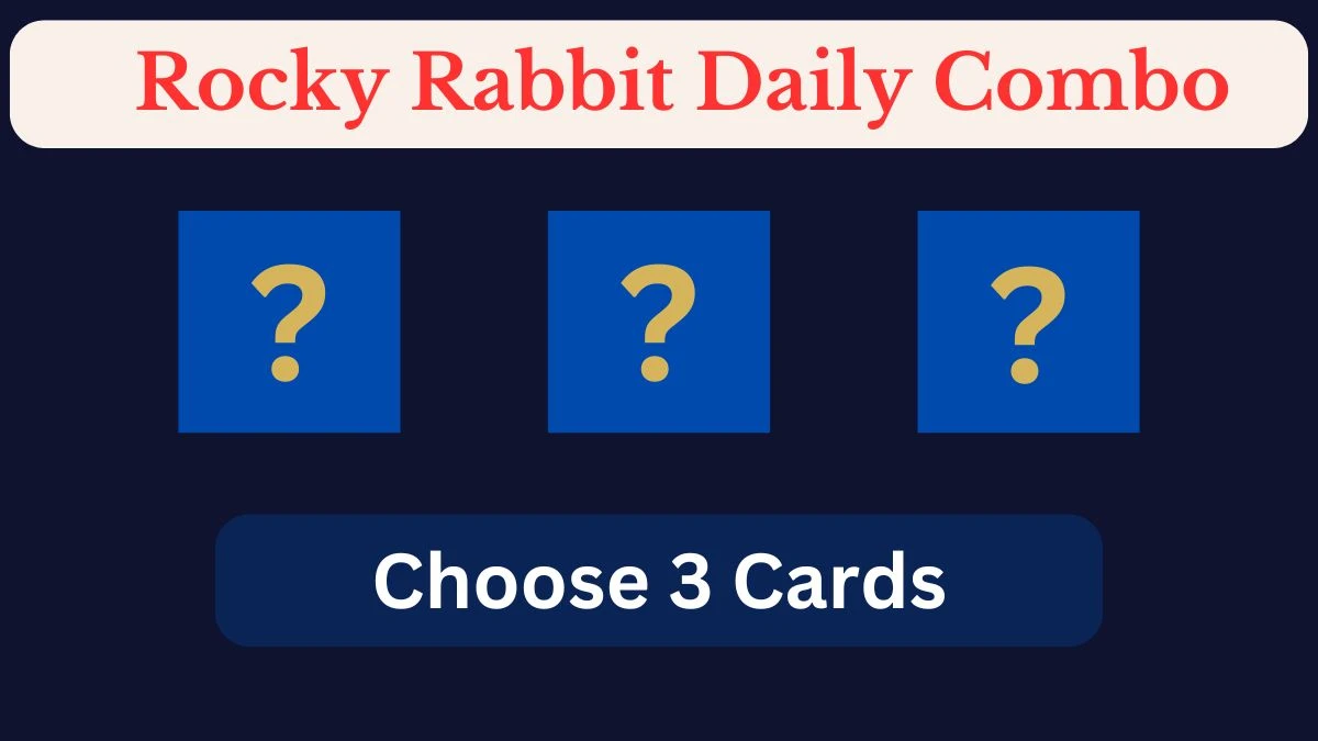 Today's Rocky Rabbit Daily Combo Cards July 18 2024