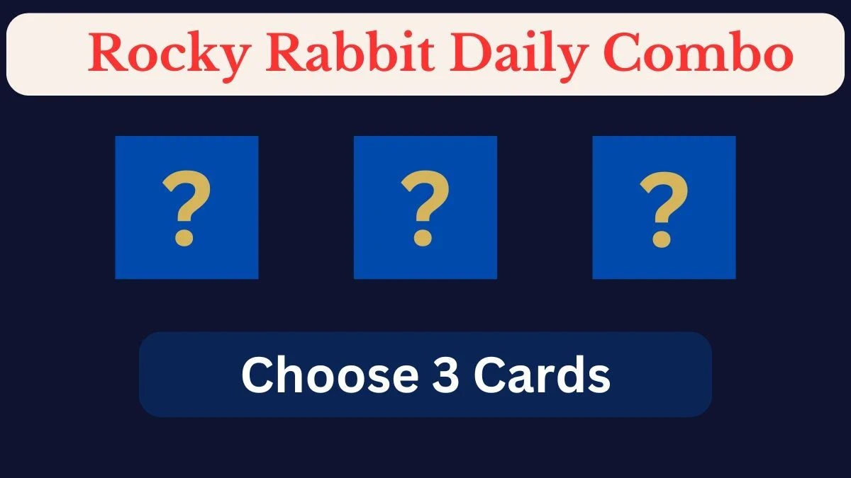 Today's Rocky Rabbit Daily Combo Cards July 19 2024