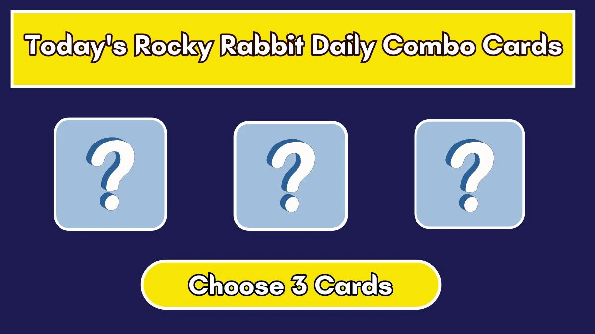 Today's Rocky Rabbit Daily Combo Cards July 24 2024