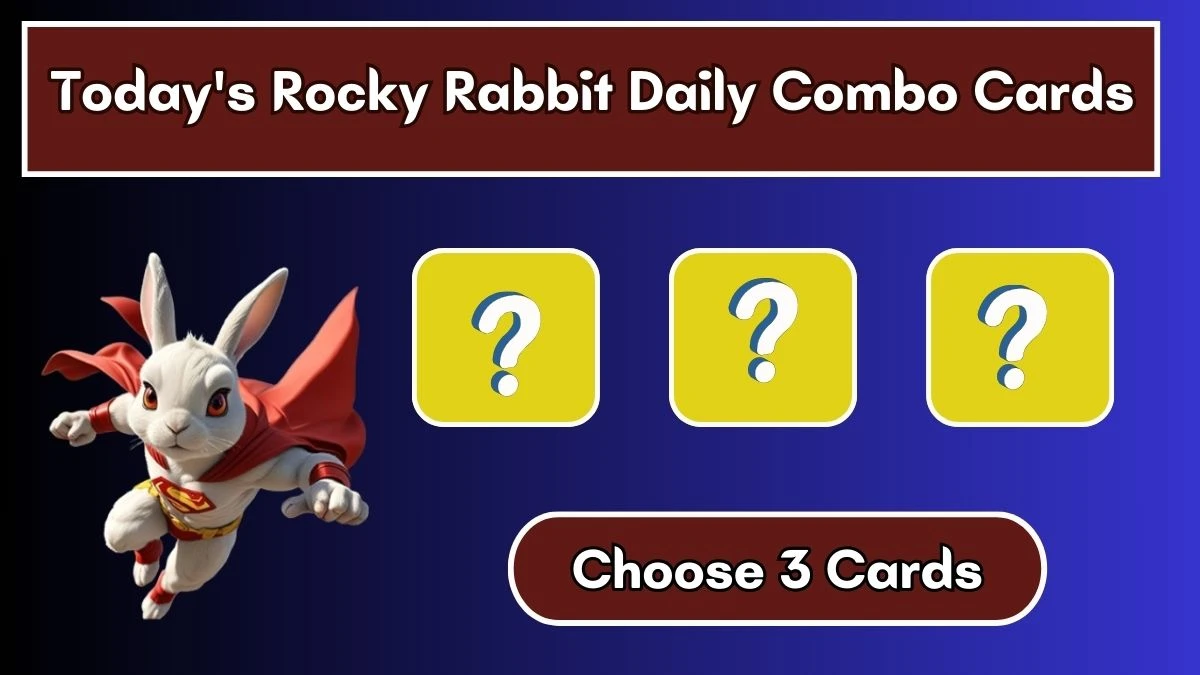 Today's Rocky Rabbit Daily Combo Cards July 25 2024