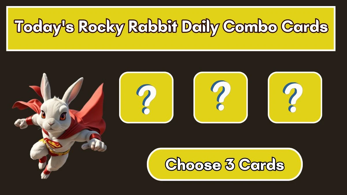 Today's Rocky Rabbit Daily Combo Cards July 31 2024