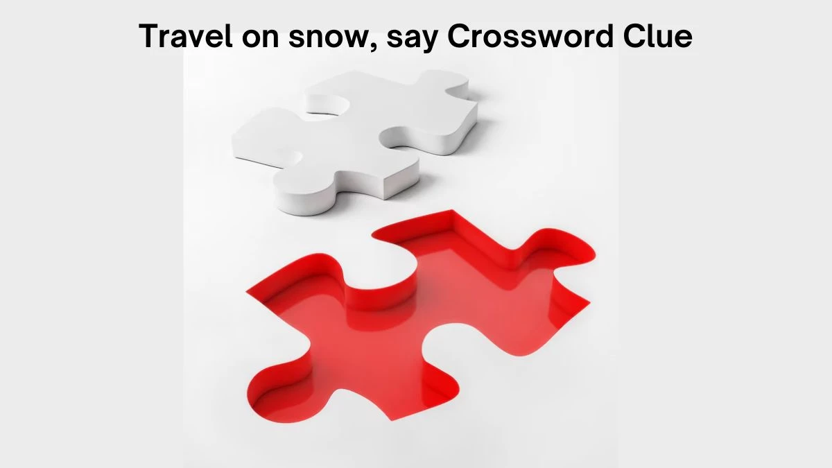 Travel on snow, say Daily Themed Crossword Clue Puzzle Answer from July 20, 2024