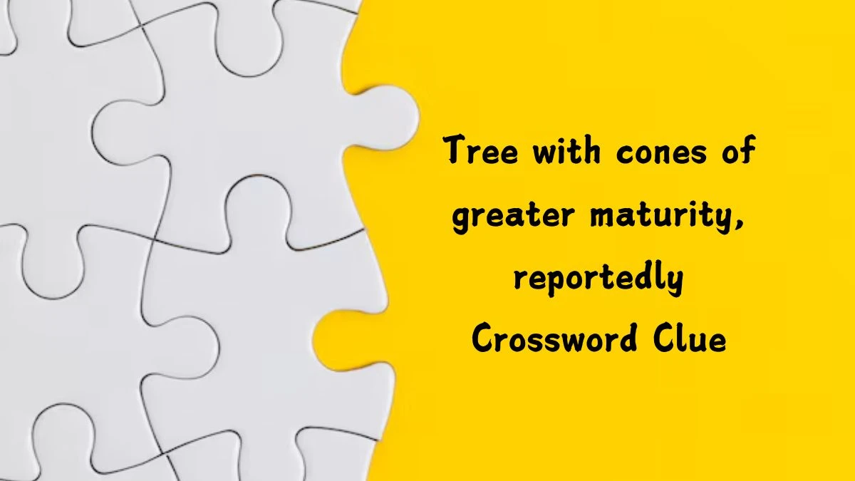 Tree with cones of greater maturity, reportedly Crossword Clue Answers on July 25, 2024