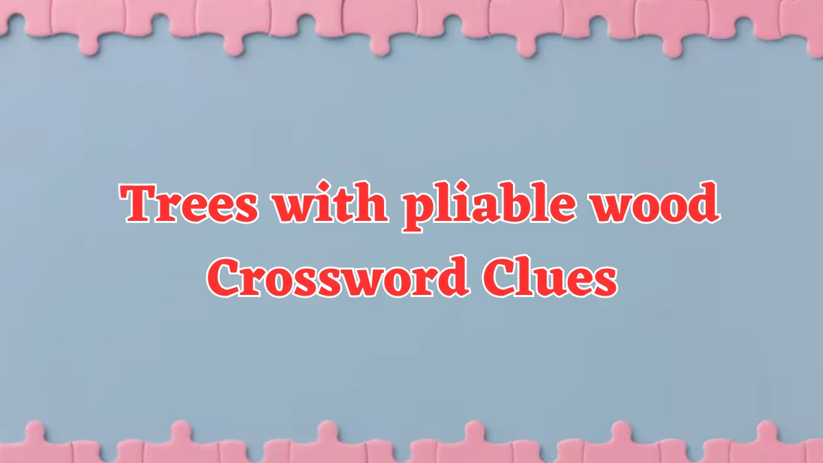 LA Times Trees with pliable wood Crossword Clue Puzzle Answer from July 22, 2024