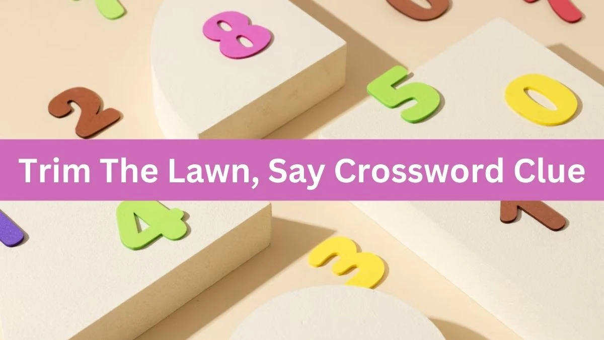 Daily Themed Trim The Lawn, Say Crossword Clue Puzzle Answer from July 19, 2024