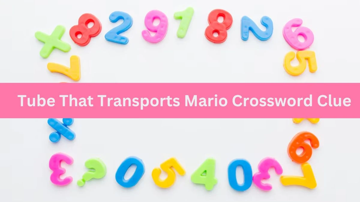 USA Today Tube That Transports Mario Crossword Clue Puzzle Answer from July 06, 2024