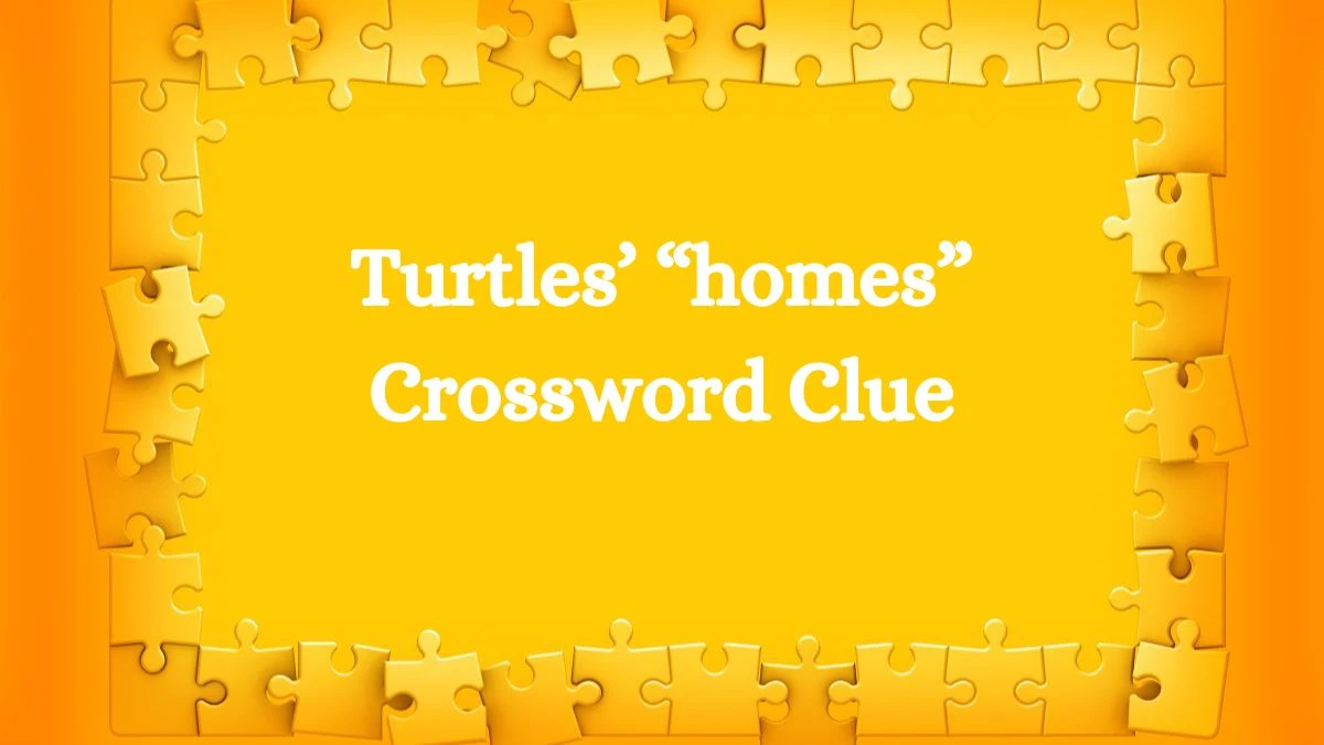 Turtles’ “homes” Crossword Clue Universal Puzzle Answer from July 13, 2024