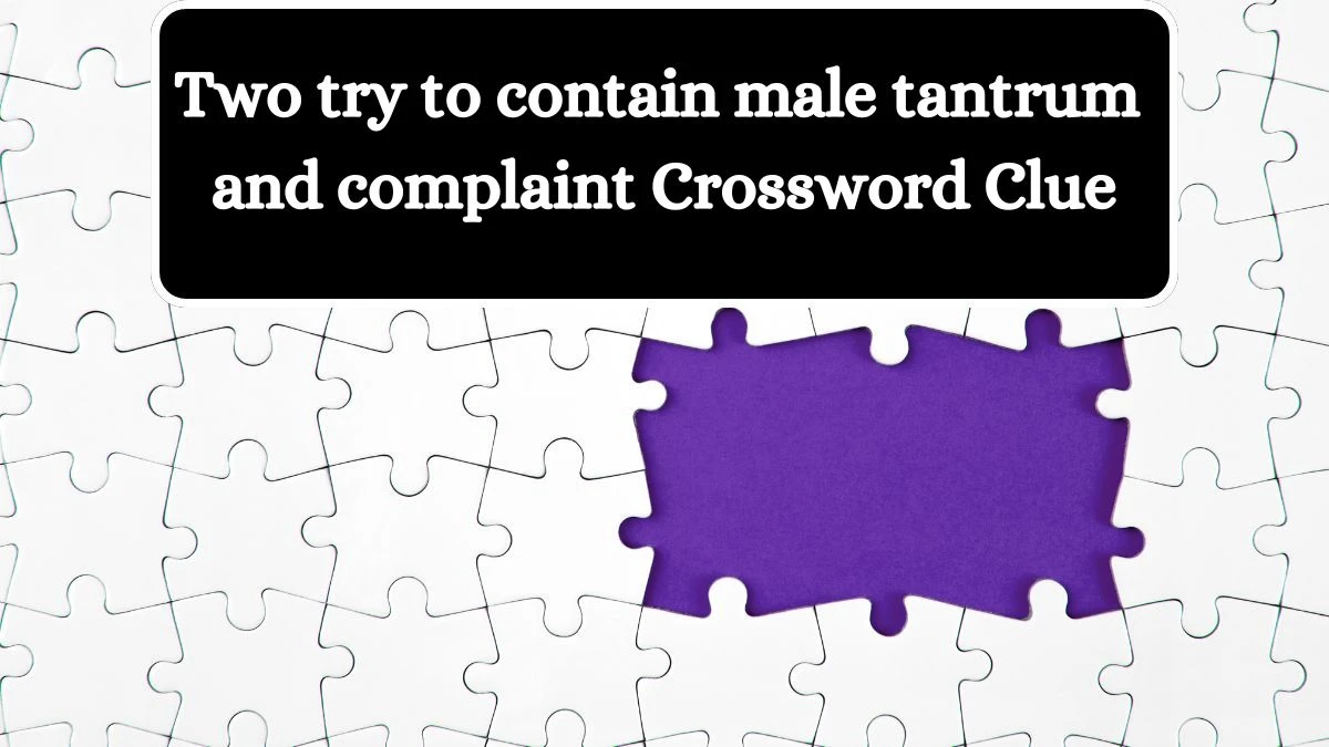 Two try to contain male tantrum and complaint Crossword Clue Answers on July 12, 2024