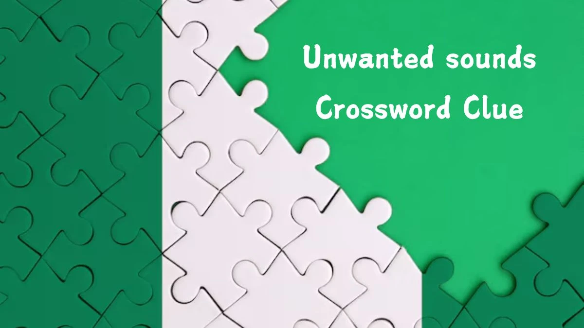 Unwanted sounds Daily Commuter Crossword Clue Answers on July 20, 2024