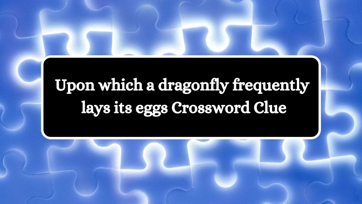 Upon which a dragonfly frequently lays its eggs NYT Crossword Clue Puzzle Answer from July 19, 2024