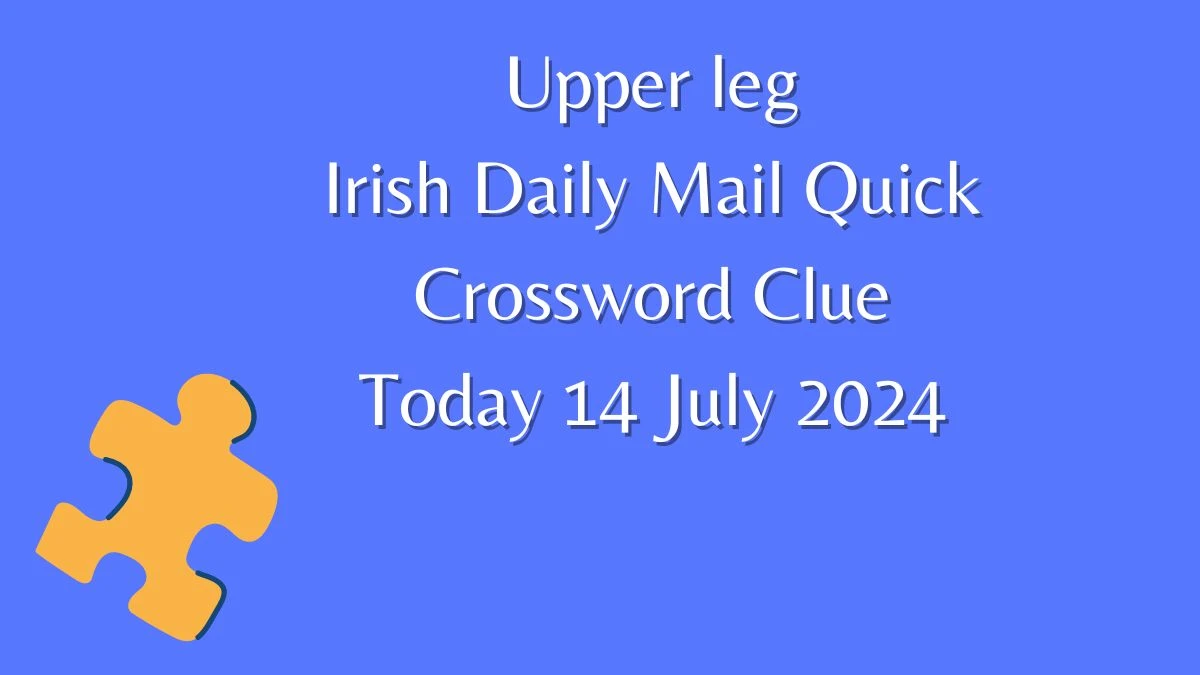 Irish Daily Mail Quick Upper leg Crossword Clue 5 Letters Puzzle Answer from July 14, 2024