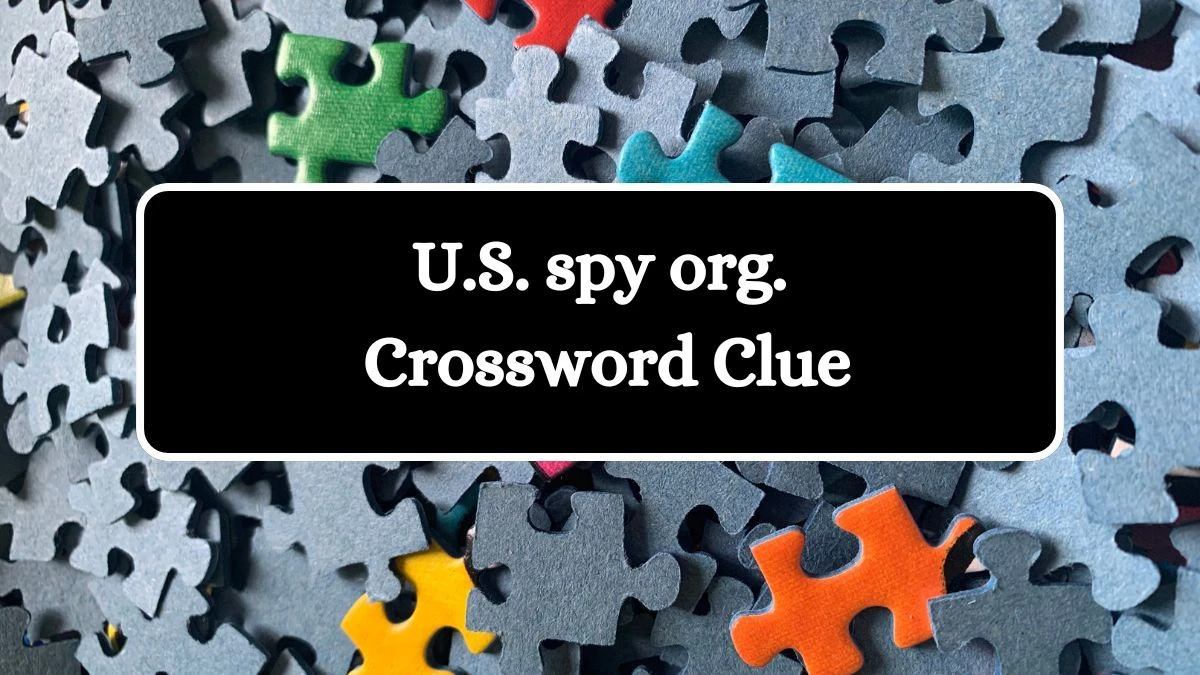 LA Times U.S. spy org. Crossword Clue from July 22, 2024