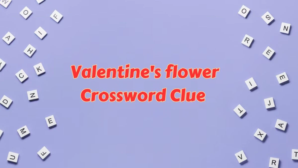 Daily Commuter Valentine's flower Crossword Clue 4 Letters Puzzle Answer from July 09, 2024