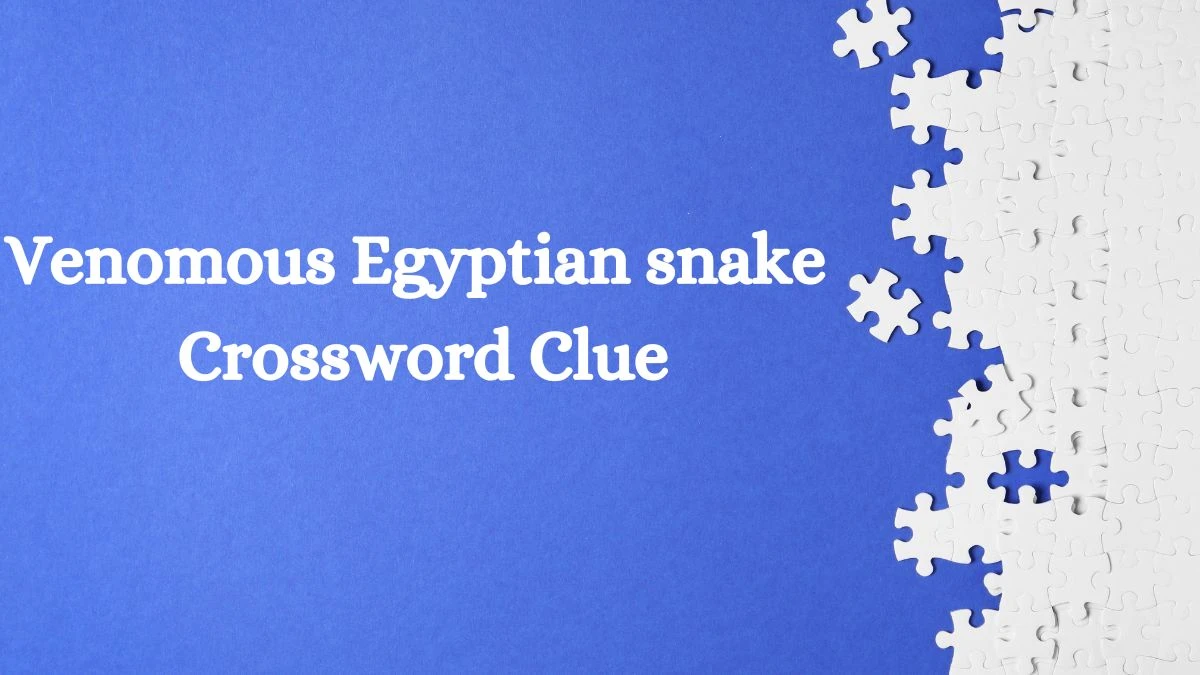 Venomous Egyptian snake Daily Themed Crossword Clue Puzzle Answer from July 25, 2024