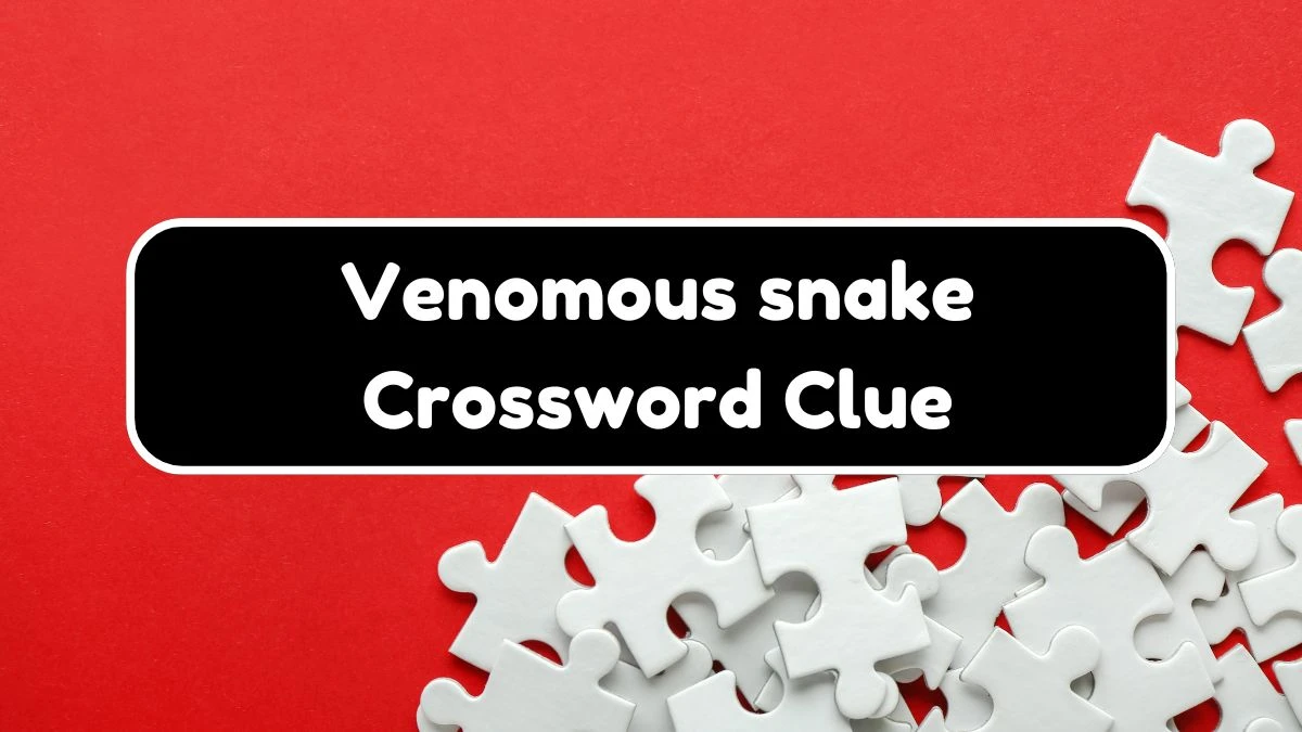 USA Today Venomous snake Crossword Clue Puzzle Answer from July 20, 2024