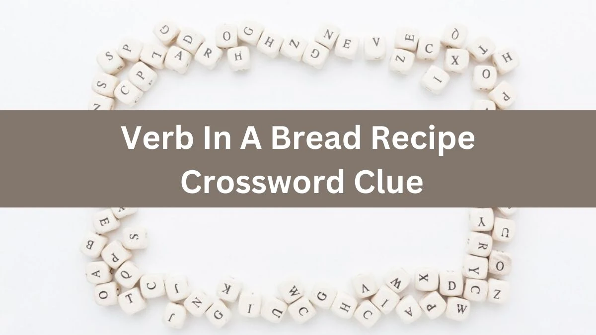 Verb In A Bread Recipe LA Times Crossword Clue Puzzle Answer from July 16, 2024