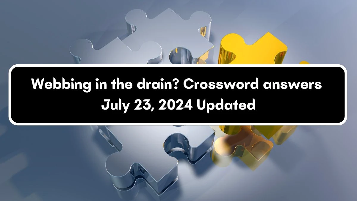 Webbing in the drain? Crossword Clue Puzzle Answer from July 23, 2024