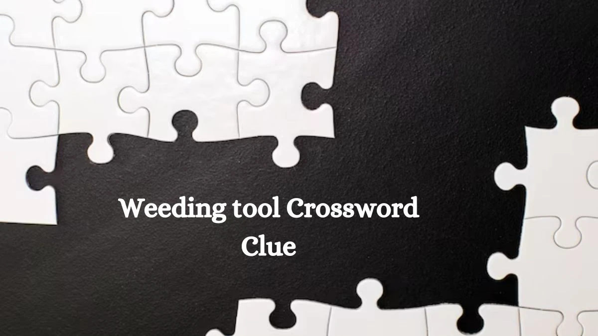 Weeding tool Daily Themed Crossword Clue Puzzle Answer from July 29, 2024